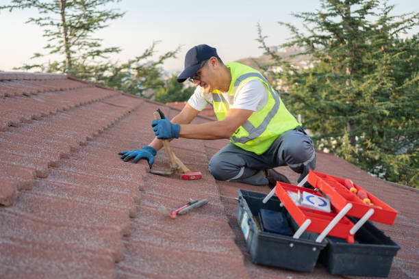 Best Roof Leak Repair  in Gberts, IL